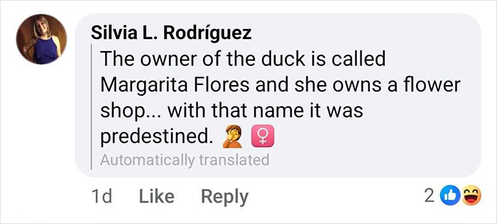 Comment mentioning the owner of the celebrity duck named Margarita Flores and her flower shop.