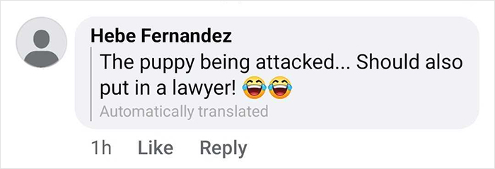 Comment suggesting the puppy being attacked should get a lawyer, highlighting support for Free Juan the celebrity duck.