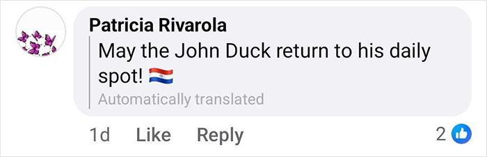 Comment expressing support for celebrity duck Free Juan to return to his popular location after removal.