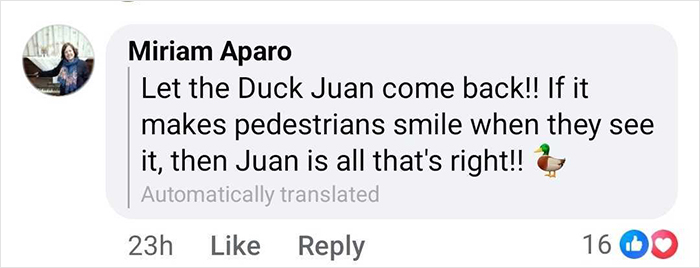 Comment expressing support for celebrity duck Juan returning to a popular location, sparking mass public support.
