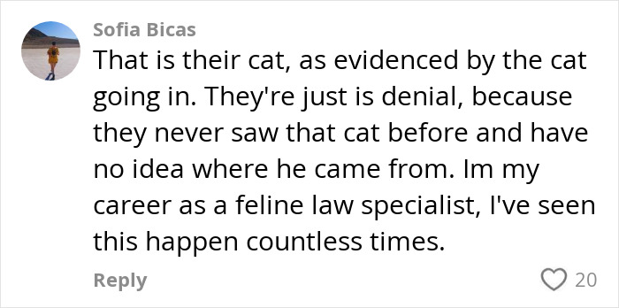 Comment discussing a cat entering through a new cat flap installed by handyman, revealing surprising customer reaction.