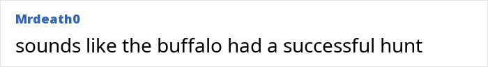 Comment on a forum post with black text on white background, discussing a buffalo fatally goring a millionaire trophy hunter on safari.