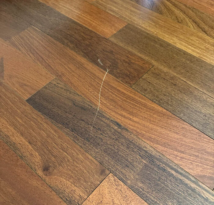 Close up of wooden floor with a small scratch representing harmless secrets people haven’t shared until now.