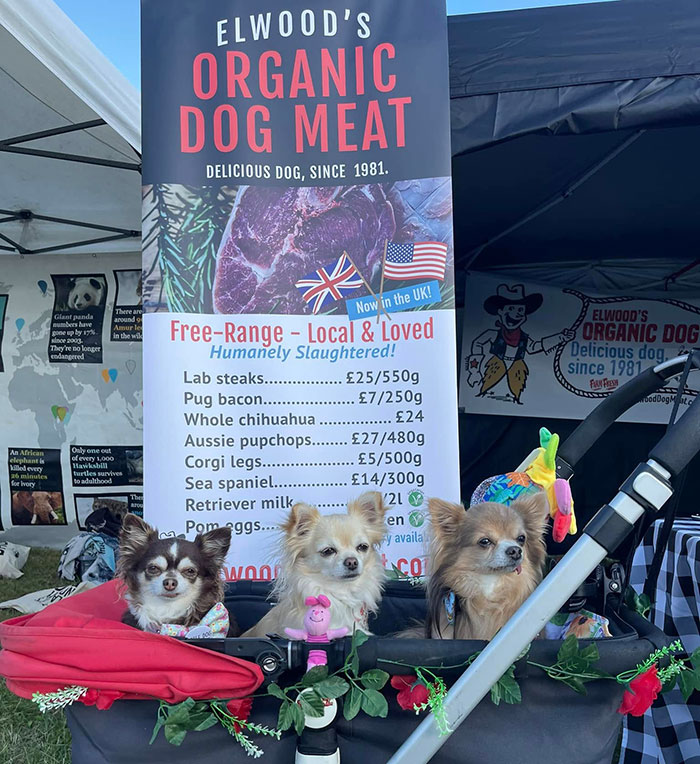 Three small dogs sitting in a stroller in front of a sign advertising organic dog meat from a dog meat farm. - 10