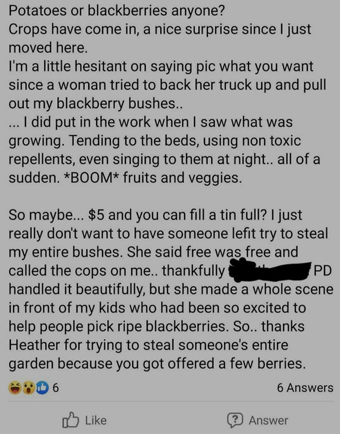 Text post about a woman trying to steal blackberries from someone's garden, showing disregard for rules and etiquette.