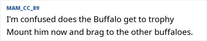 Comment about buffalo and trophy hunting posted online, referencing a fatal goring incident during safari.