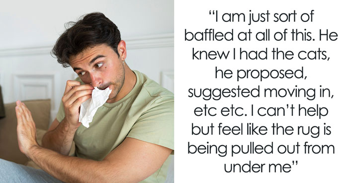 Fiancée Left Shocked After Guy Demands Her 4 Senior Cats Be Rehomed Before Wedding