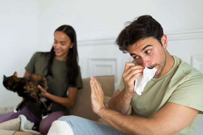 Fianc&eacute;e Left Shocked After Guy Demands Her 4 Senior Cats Be Rehomed Before Wedding