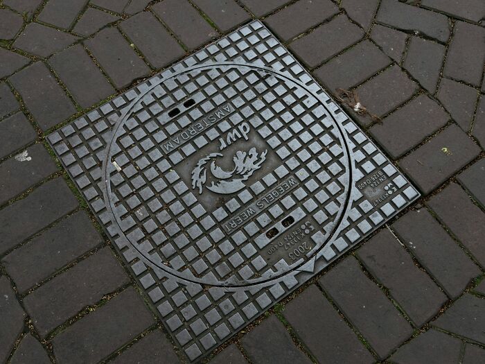 Manhole cover on a brick street in Amsterdam featuring a fish design related to Boops Boops species.