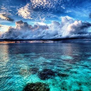 roroyourboat52 avatar