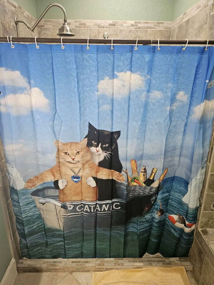 Shower curtain with cats in a random place parodying Titanic scene, perfect for cat lovers and random cats photos.