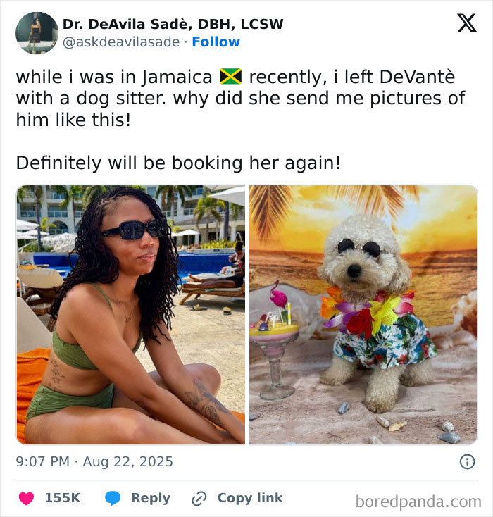 Tweet showing a woman in a green bikini and a small dog dressed in tropical clothes, funny and relatable August tweets.