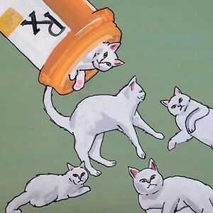 katerinaelgato avatar