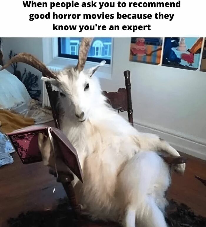 Goat lounging in a chair holding a book with caption about recommending good horror movies, creepy and funny meme.