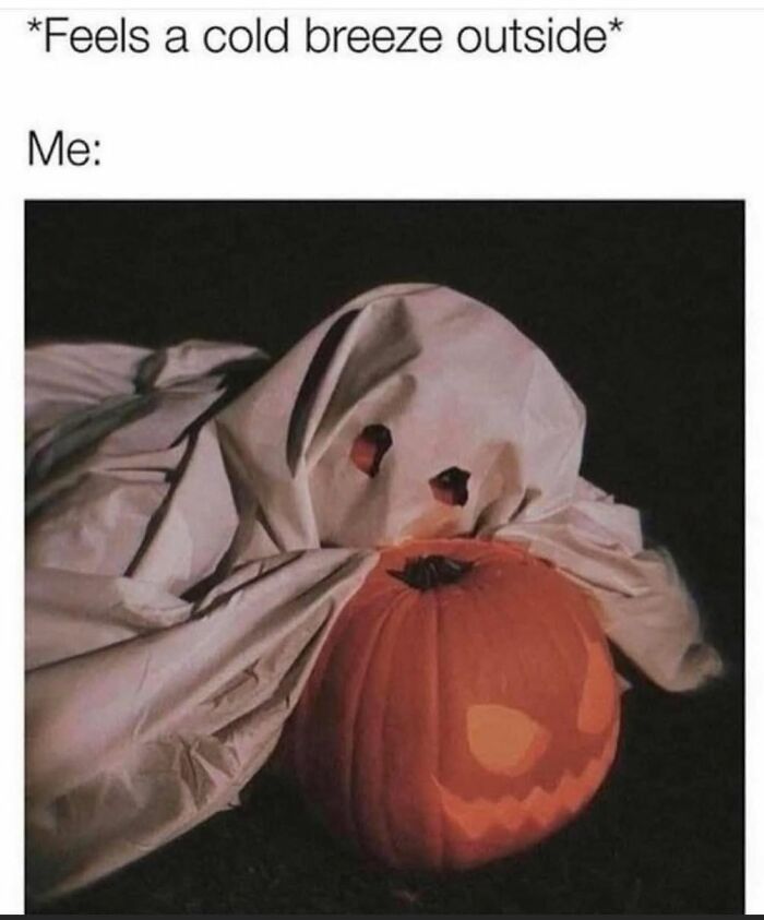 Person covered in a white sheet ghost costume next to a carved pumpkin, representing creepy but funny humor in black theme memes.