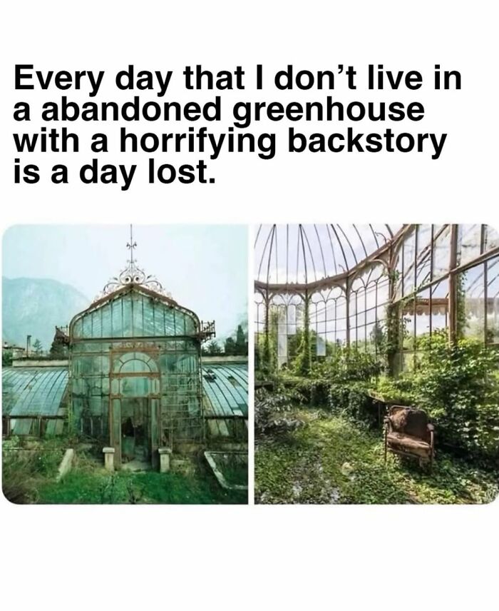 Abandoned greenhouse with overgrown plants and a single chair, paired with a creepy but funny meme about horror backstory.