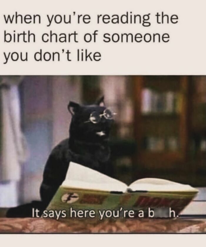 Black cat wearing glasses reading a book with a caption about reading the birth chart of someone you dislike, creepy funny meme.