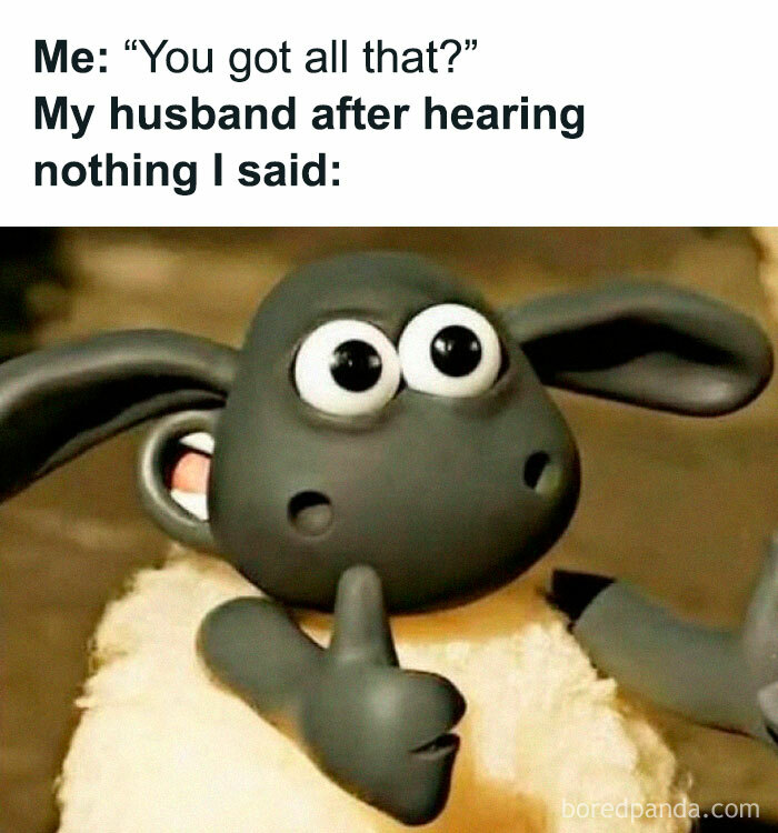 Funny chaotic marriage meme showing a confused animated sheep reacting after hearing nothing from spouse.