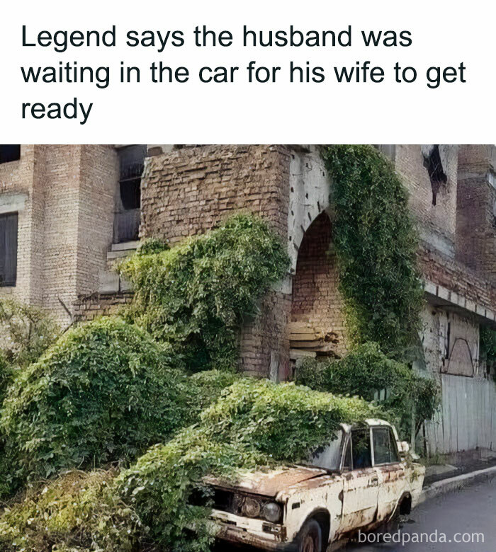 A rusty abandoned car overgrown with plants humorously depicting marriage memes about waiting for a spouse.