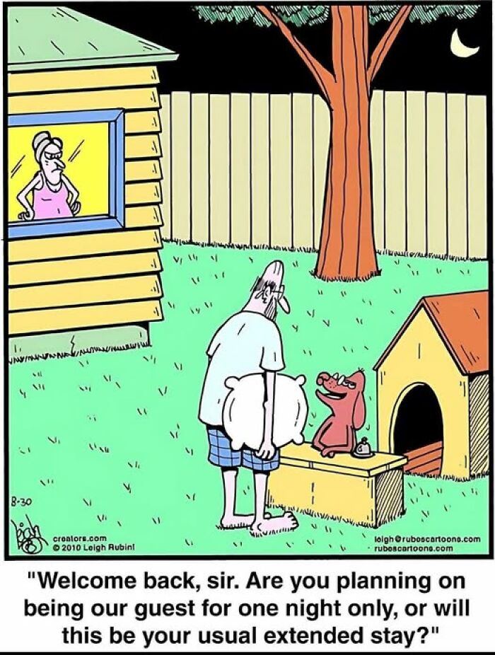 Cartoon of a man holding pillows outside a house, greeted by a dog with a collar bell, with an annoyed woman watching from a window.