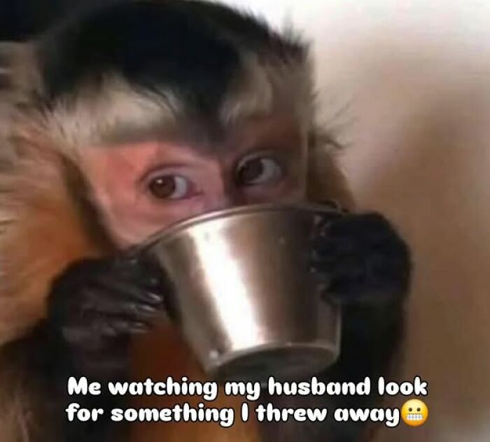 Monkey peeking over metal cup with text about husband looking for something thrown away in funny chaotic marriage meme.