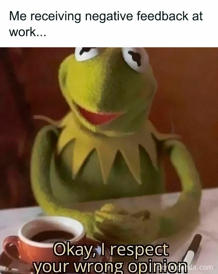 Kermit meme humor expressing respect for negative feedback, part of hilarious memes for daily laughter and good vibes.