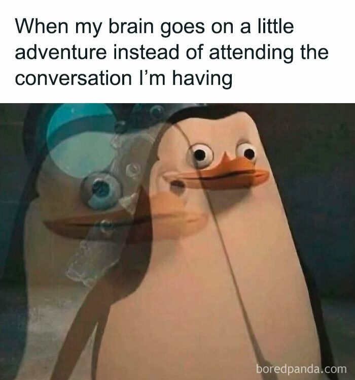 Penguin meme showing confusion with blurred double image, capturing a hilarious moment for daily dose of laughter and good vibes.