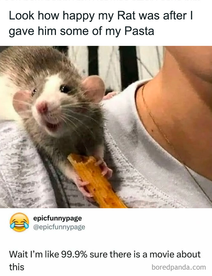 Happy rat eating pasta held by person, featured in entertaining posts and memes to help fight boredom.