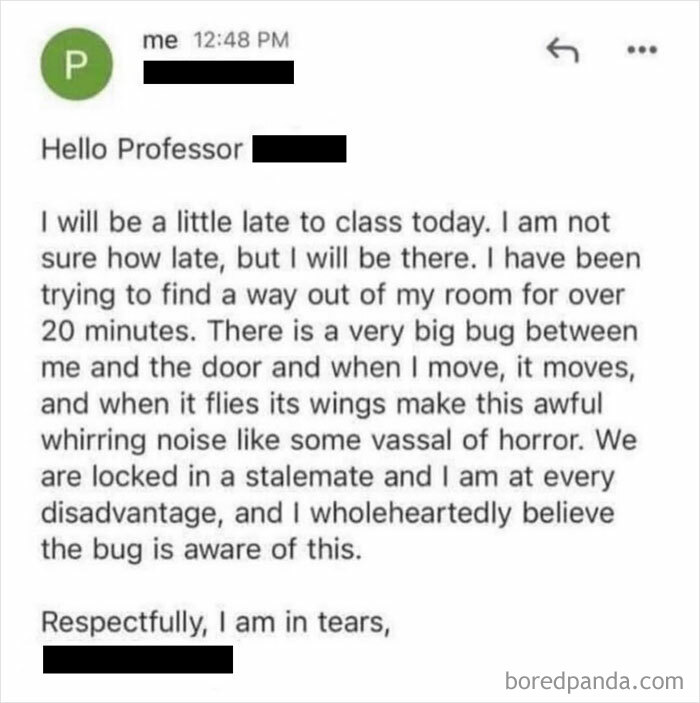 Screenshot of a humorous email to a professor describing a struggle with a big bug, fitting entertaining posts and memes.