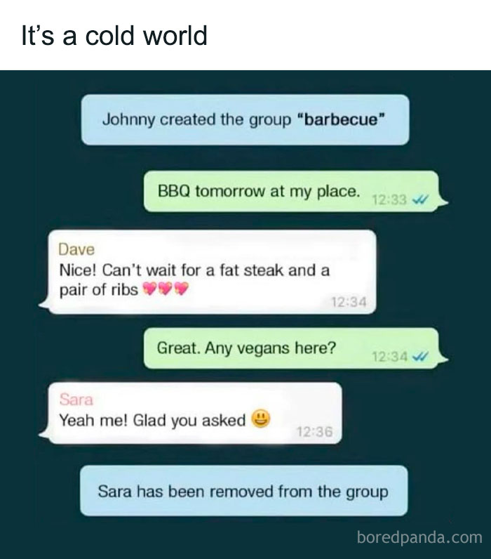 Chat conversation with humorous BBQ invitation, vegan removed from group, entertaining posts and memes to fight boredom.