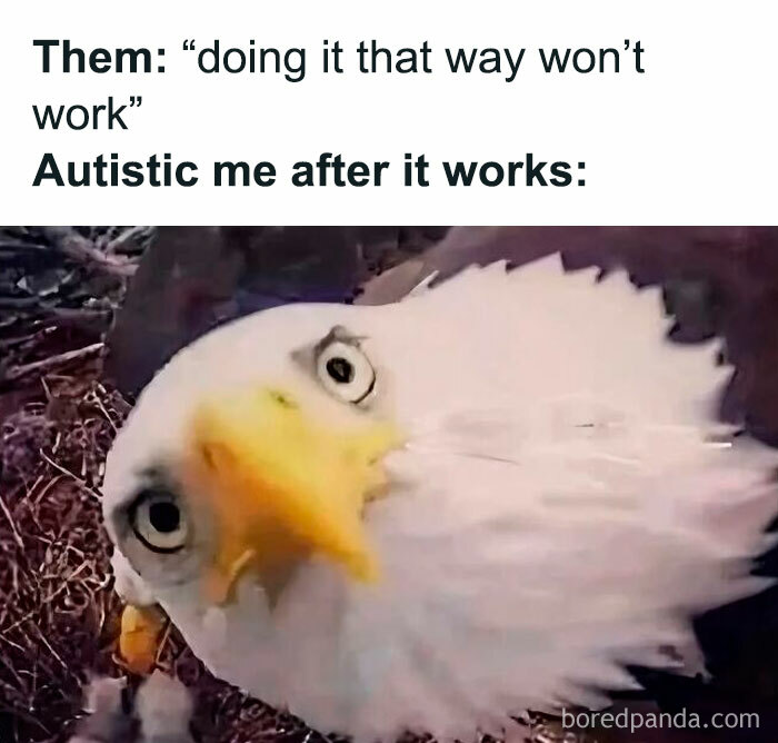 Meme showing a confused eagle head representing autistic perspective on doing things differently that work.
