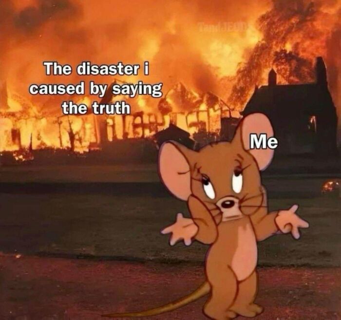 Cartoon mouse shrugging in front of a burning house with text about disaster caused by saying the truth relatable meme.