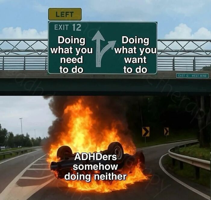 Highway sign meme showing choice between doing what you need or want to do, with ADHDers doing neither amid fire, neurodivergent humor.