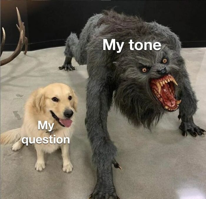 A friendly dog labeled My question beside a fierce werewolf labeled My tone, a neurodivergent relatable meme.