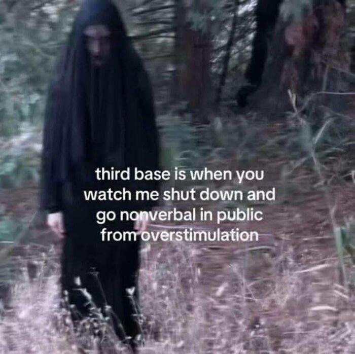 Person in dark clothing standing in a forest with text about shutting down and going nonverbal from overstimulation, neurodivergent meme.
