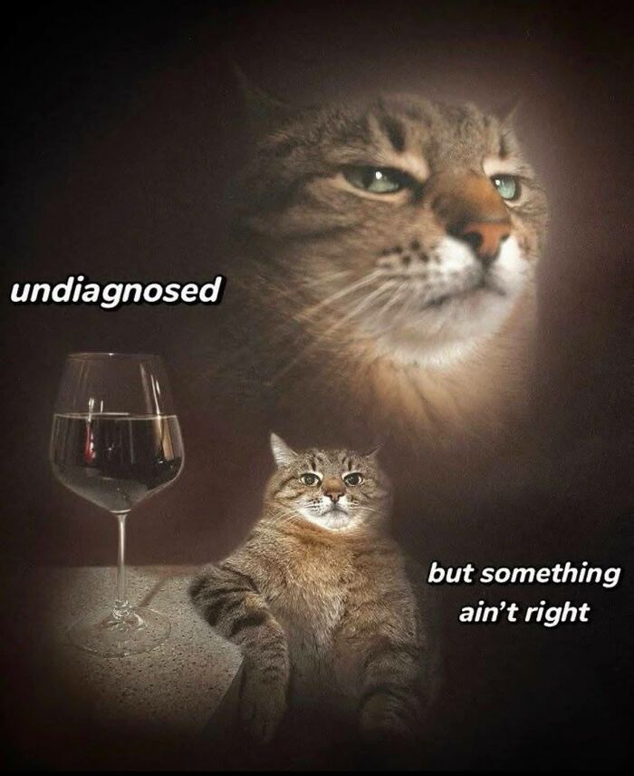 Cat meme with text expressing the feeling of being undiagnosed but sensing something isn’t right, relatable to neurodivergent people.