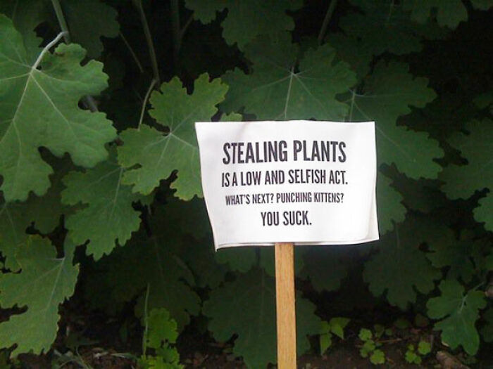 Note about stealing plants posted in a garden, an example of unhinged neighbors’ notes showing challenging but entertaining neighbor interactions.
