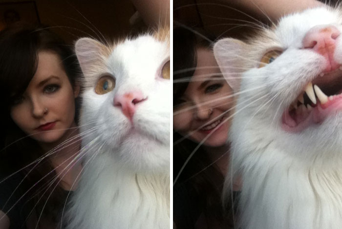 Close-up photos of a white cat hilariously crashing selfies with a woman, showcasing funny times pets stole the show.