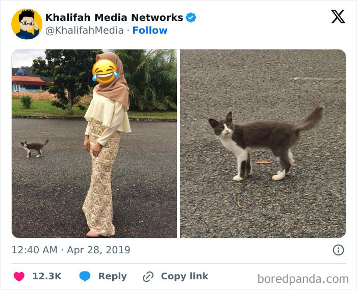 Woman with laughing emoji face and cat on pavement showcasing funny times pets crashed photos and totally stole the show.