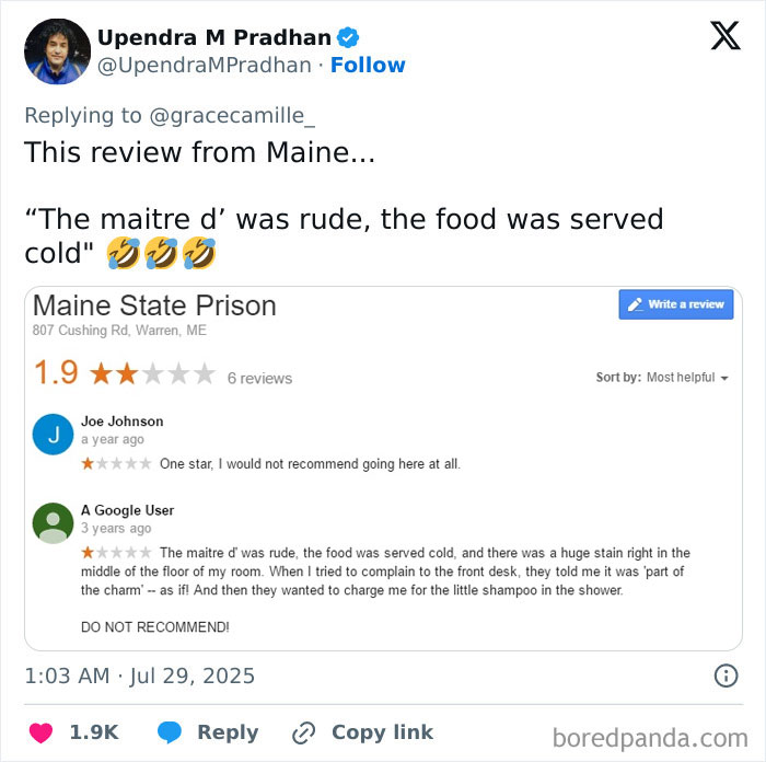 Screenshot of a humorous product review showing an amusing critique in a service review with an immaculate sense of humor.