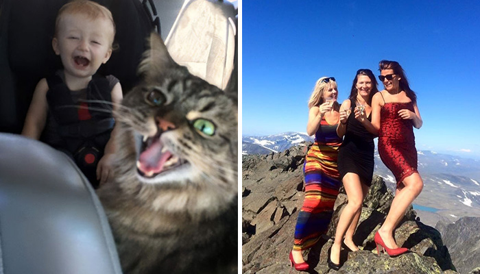 “Giraffes Having A Fight”: 50 Vacation Photos That Are Too Hilarious To Not Post For Everyone To See