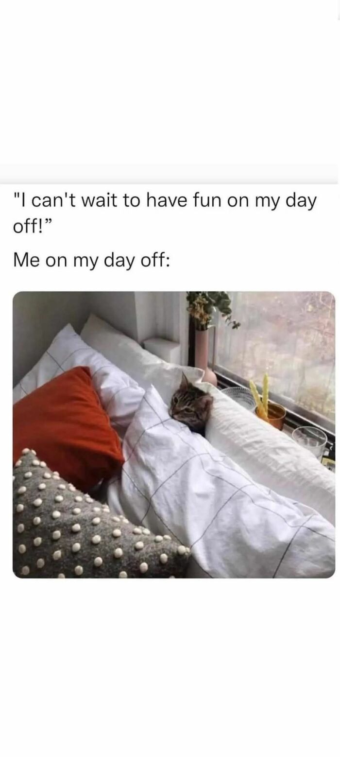 Cat tucked in bed with pillows and blanket, illustrating a funny work meme about enjoying days off and relaxing quietly.