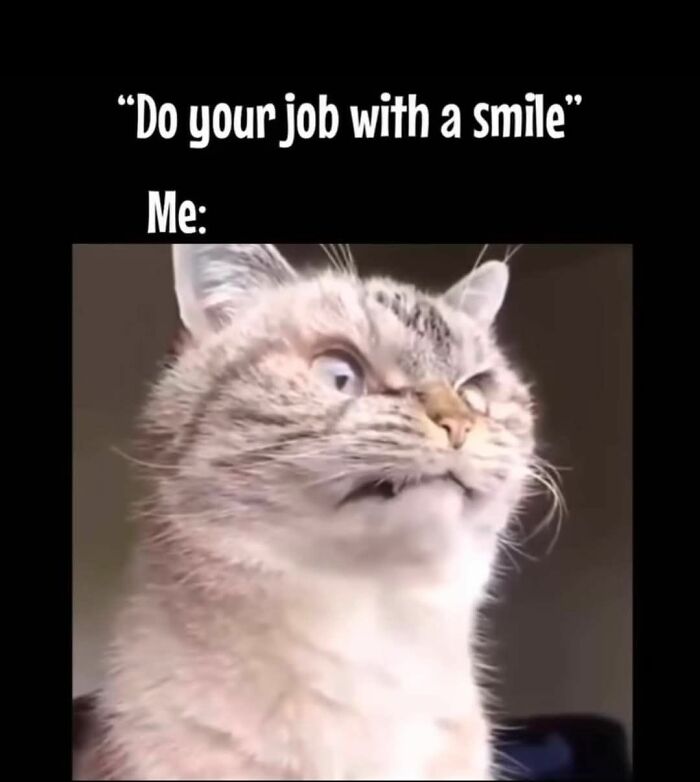 Grumpy cat meme expressing frustration, illustrating hilariously accurate work memes for those ready to retire.