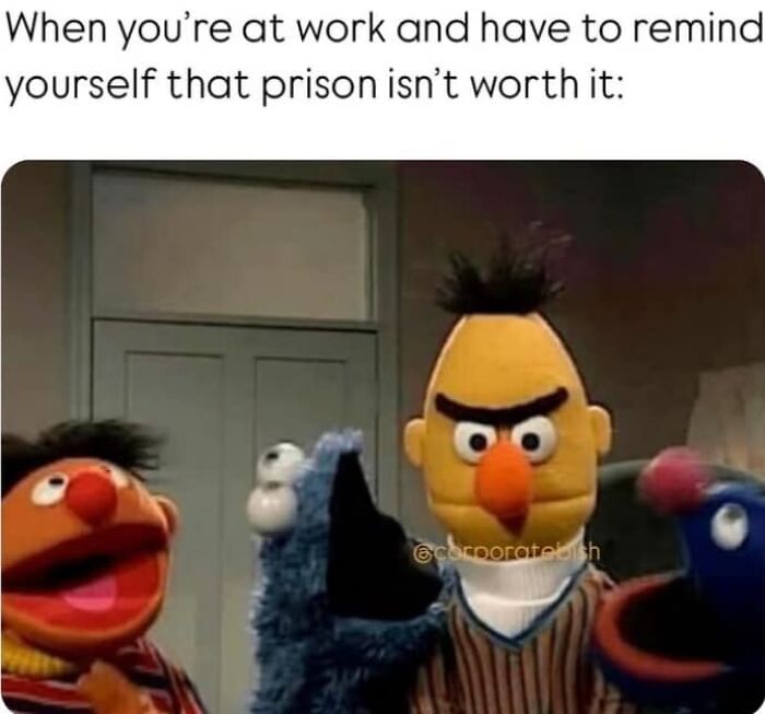 Muppets meme about work frustrations, illustrating hilarious and relatable moments in funny work memes for retirement humor.