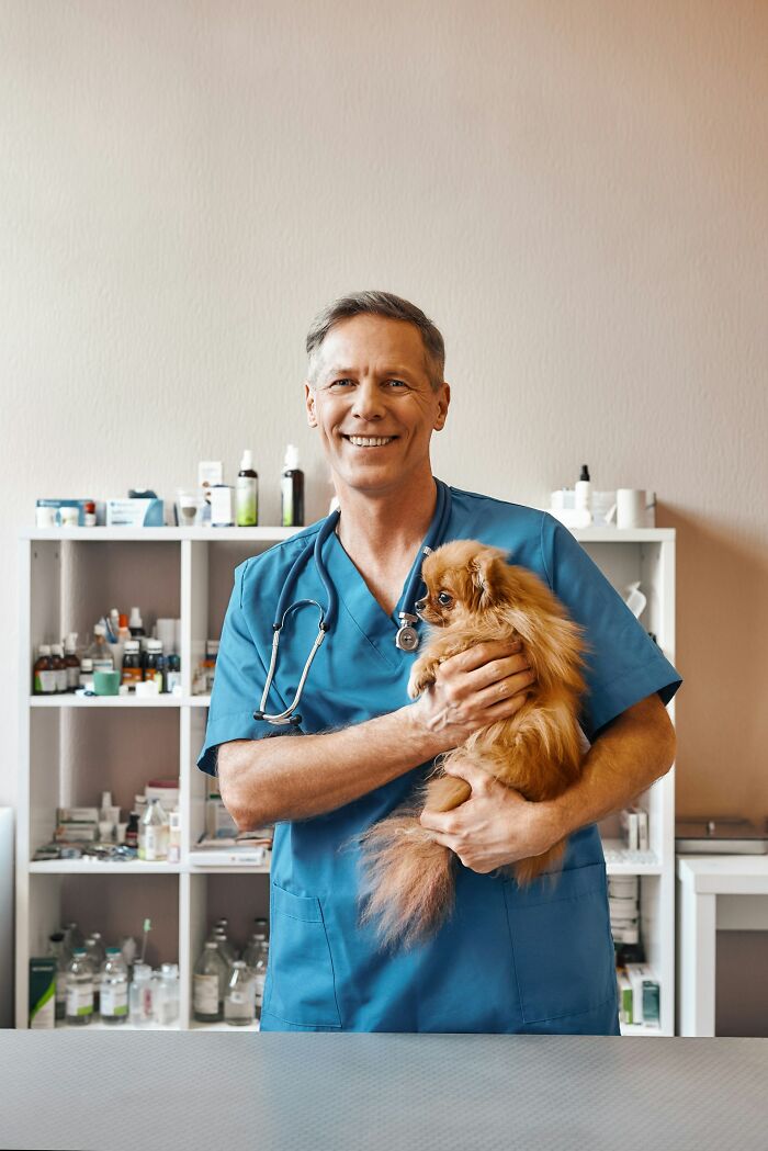 Veterinarian in blue scrubs holding a small dog in a clinic, related to smartest kids in their class stories.