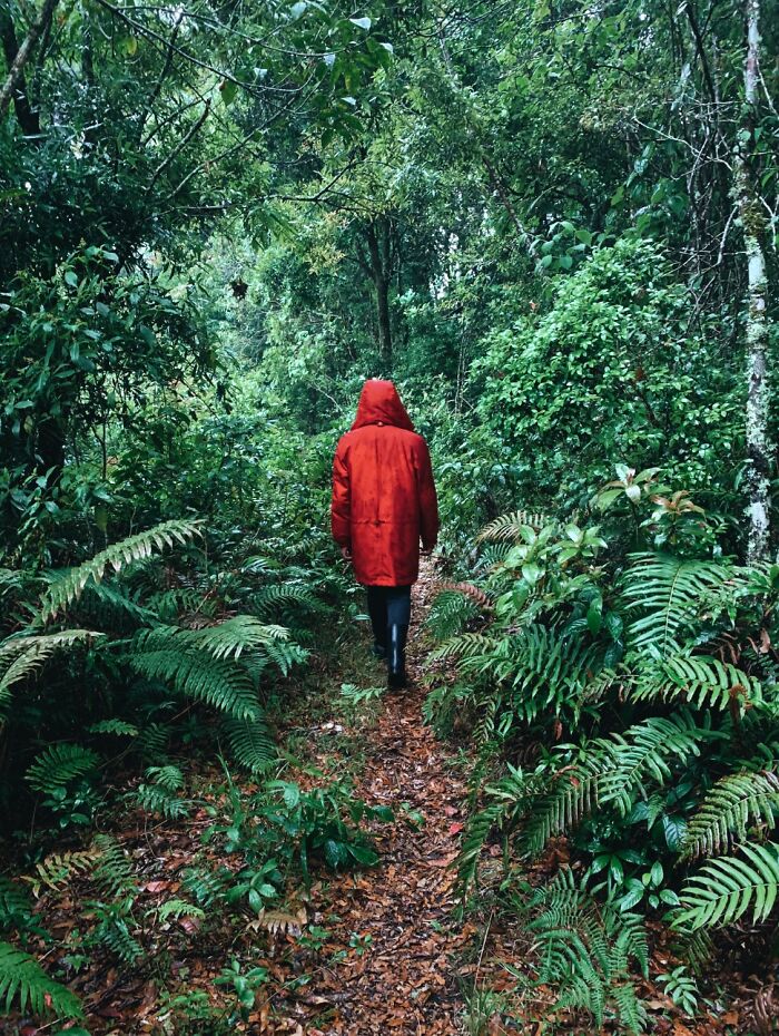 “Still Scares Me”: 47 People Who Couldn’t Sleep For Days After Spending Time In The Woods - 31