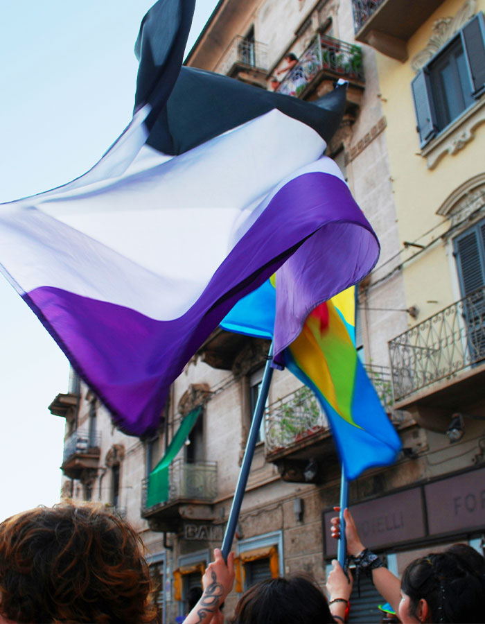 People waving greysexual pride flags during an outdoor event highlighting the rise of greysexuality in modern dating culture.