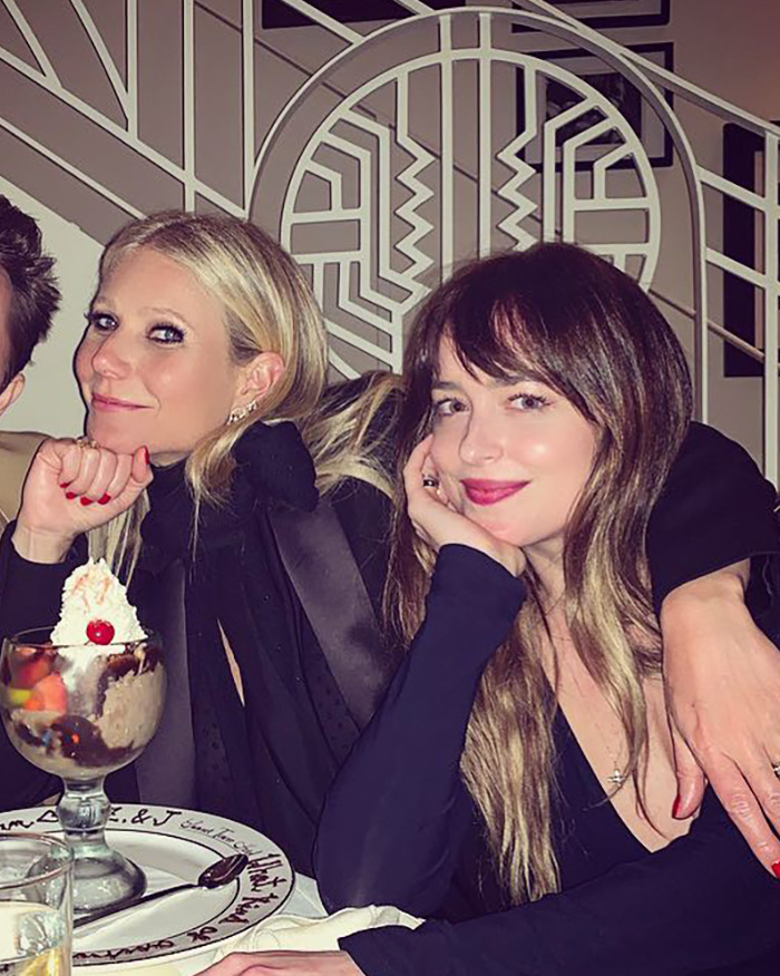 Dakota Johnson's Split From Chris Martin Reportedly Ended Her Friendship With A-List Star