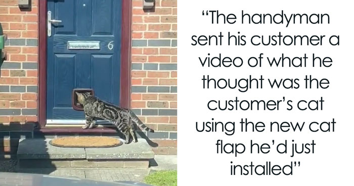 Handyman Installs New Cat Flap, Sends Customer Video, Gets Hilarious Response