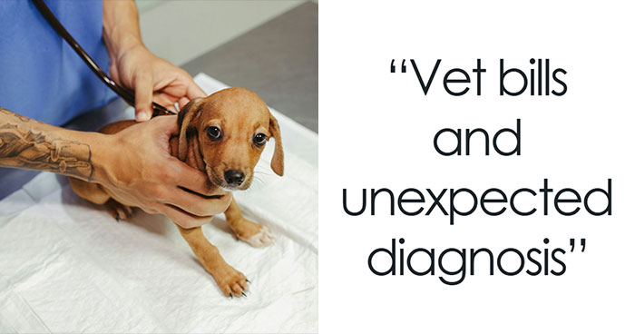 38 Dog Owners Share The Real Cons Of Having Them As Pets In This Online Thread